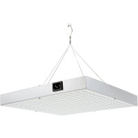 45 Watt Bitki Led
